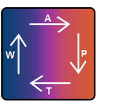 automatykaAPTW